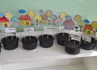 Peste 1800 de copii din cinci județe au participat la EcoSalvatorii, proiectul educațional pe teme de mediu