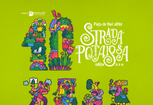 Strada Potaissa înflorește din nou