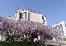 Admitere FSEGA 2026 – peste 5.200 de locuri disponibile și oportunități de practică în companii de top