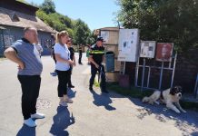 Siguranță în gospodăriile izolate: Război declarat abandonului de câini în Băișoara și comunele vecine