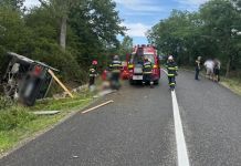 Accident la Pustuța: autoutilitară răsturnată, iar un bărbat și-a pierdut viața