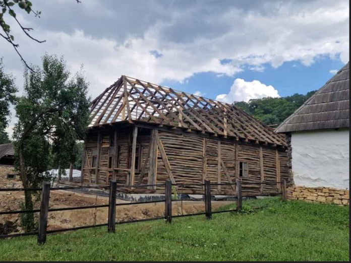 Captură ecran (700)