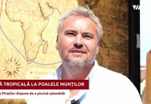 Unde se află oaza tropicală de la poalele Munților Făgăraș