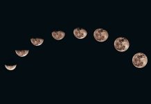 Clujul Cosmic: observații astronomice gratuite în Parcul Central