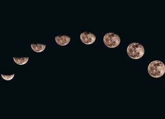 Clujul Cosmic: observații astronomice gratuite în Parcul Central