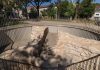 Situl arheologic din Parcul „IL Caragiale”: vestigii romane și medievale deschise publicului