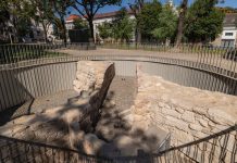 Situl arheologic din Parcul „IL Caragiale”: vestigii romane și medievale deschise publicului