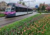 CTP Cluj-Napoca suspendă circulația tramvaielor pe linia 102