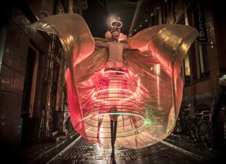 Spectacole de teatru de păpuși și nu numai din 12 țări la WonderPuck 10