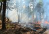 Incendiu de pădure la Doda Pilii – pompierii din Huedin intervin în zonă greu accesibilă